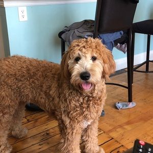 Meet your Posher, Kathryn